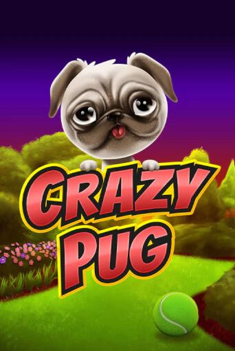 Бесплатная игра Crazy Pug | SELECTOR KZ 