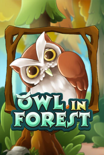 Бесплатная игра Owl In Forest | SELECTOR KZ 