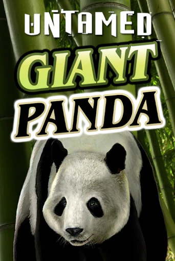 Бесплатная игра Untamed - Giant Panda | SELECTOR KZ 