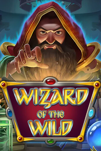 Бесплатная игра Wizard of the Wild | SELECTOR KZ 